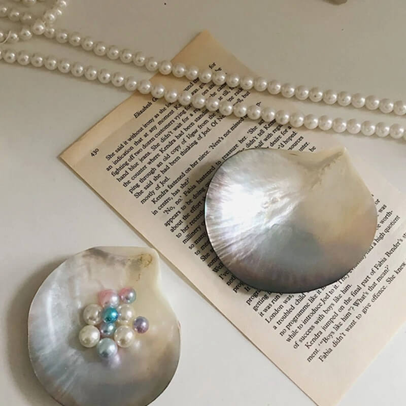 natural seashell storage jewelry tray for coquette aesthetic room decor