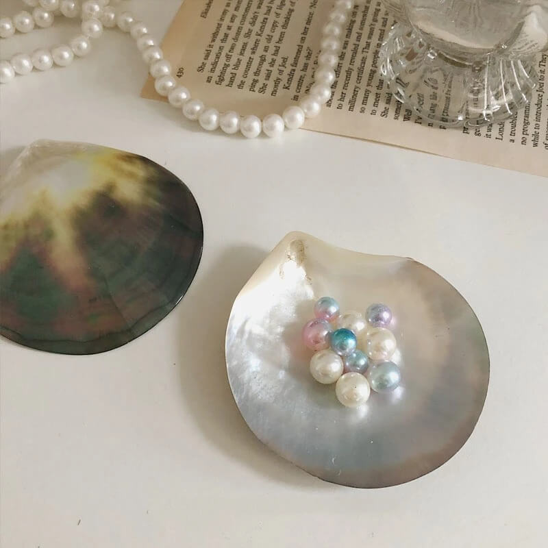 natural seashell storage jewelry tray for coquette aesthetic room decor