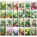 fresh potted flowers wall collage cards kit