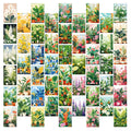fresh potted flowers wall collage cards kit
