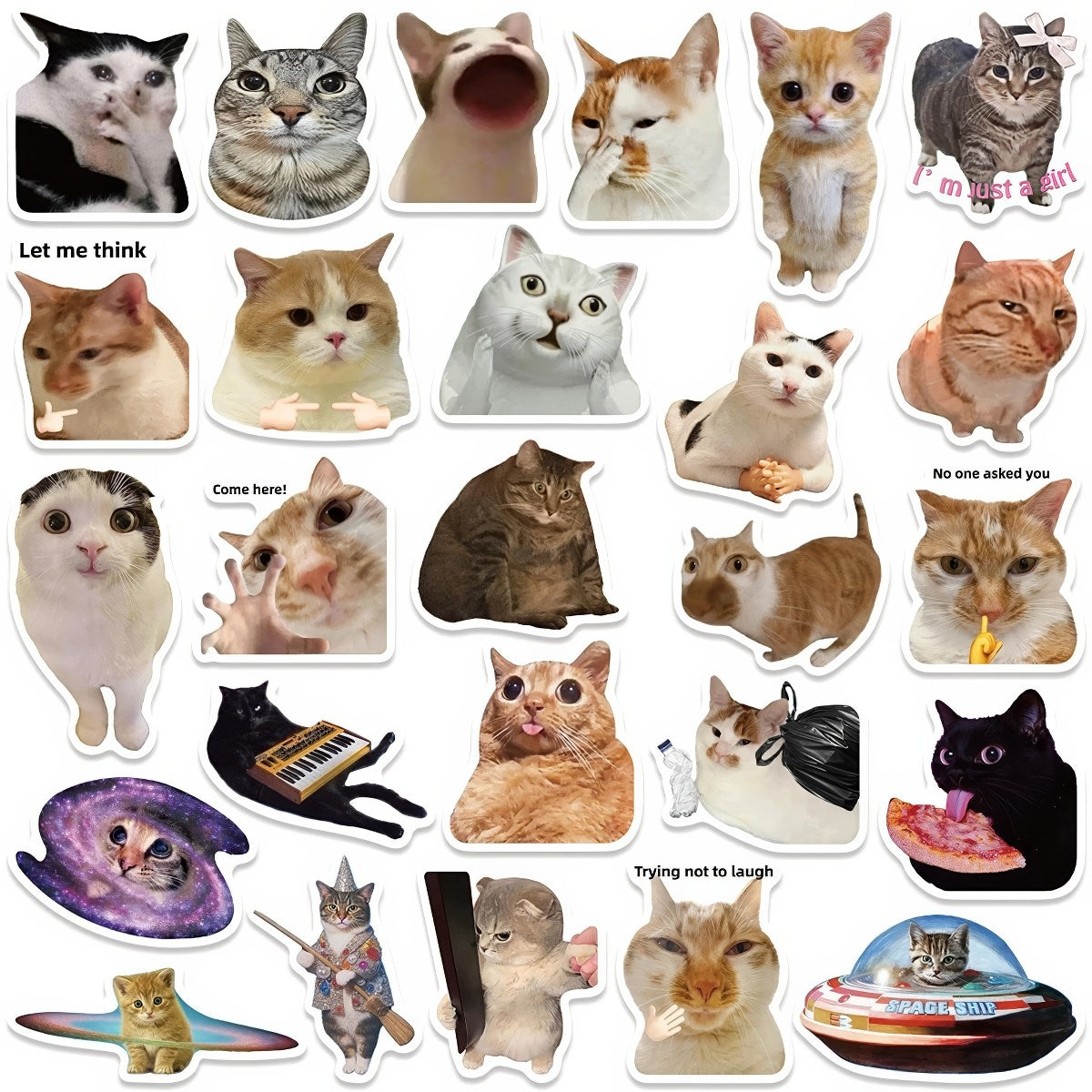 stickers with kitty memes