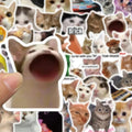stickers with kitty memes