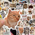 stickers with kitty memes