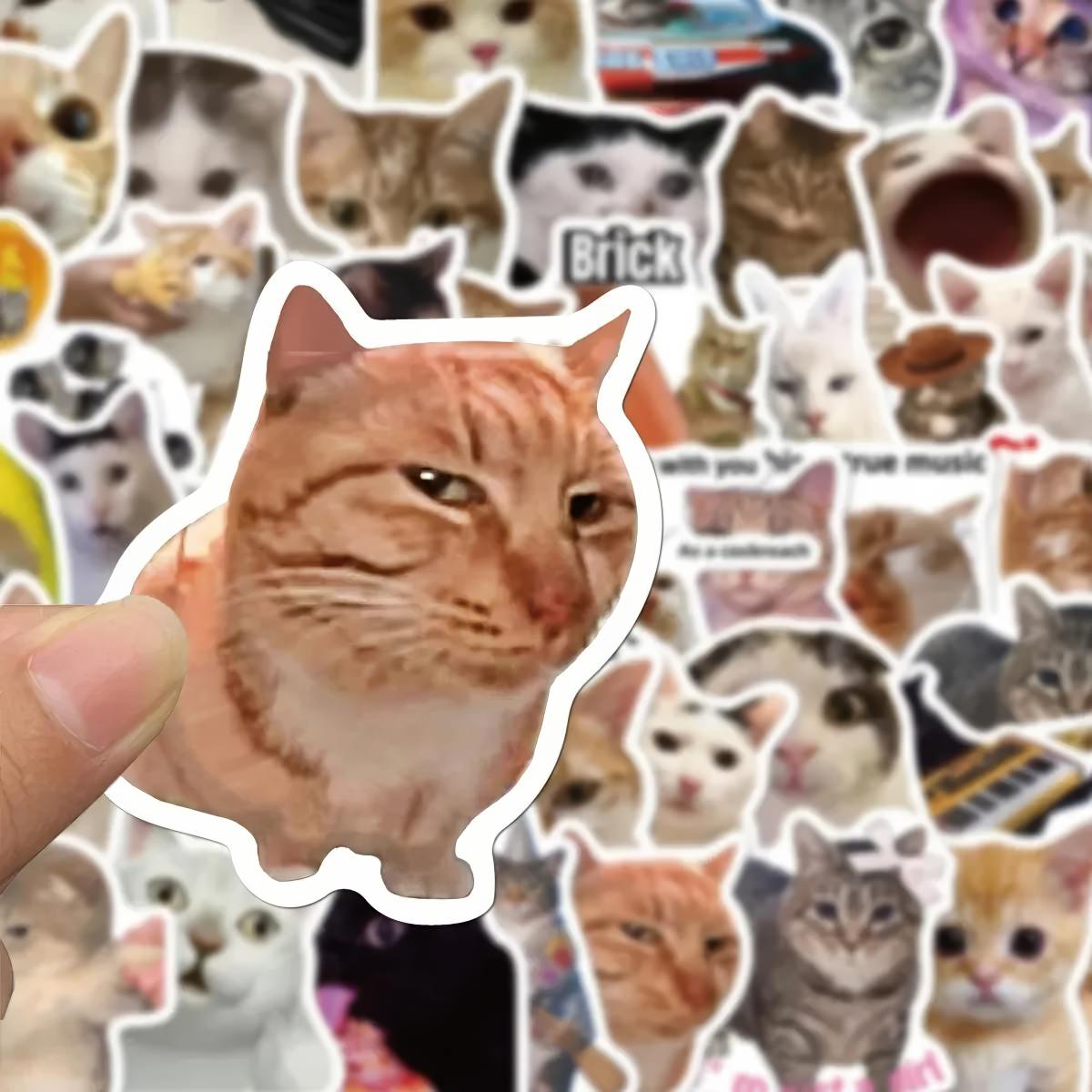 stickers with kitty memes