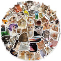 stickers with kitty memes