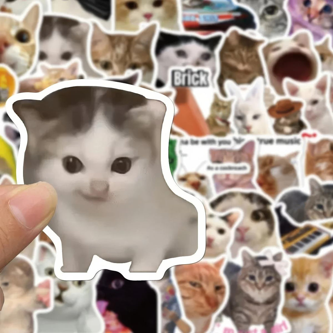 stickers with kitty memes