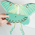 wall hanging butterfly moth shaped shelf display rack for crystals and necklaces