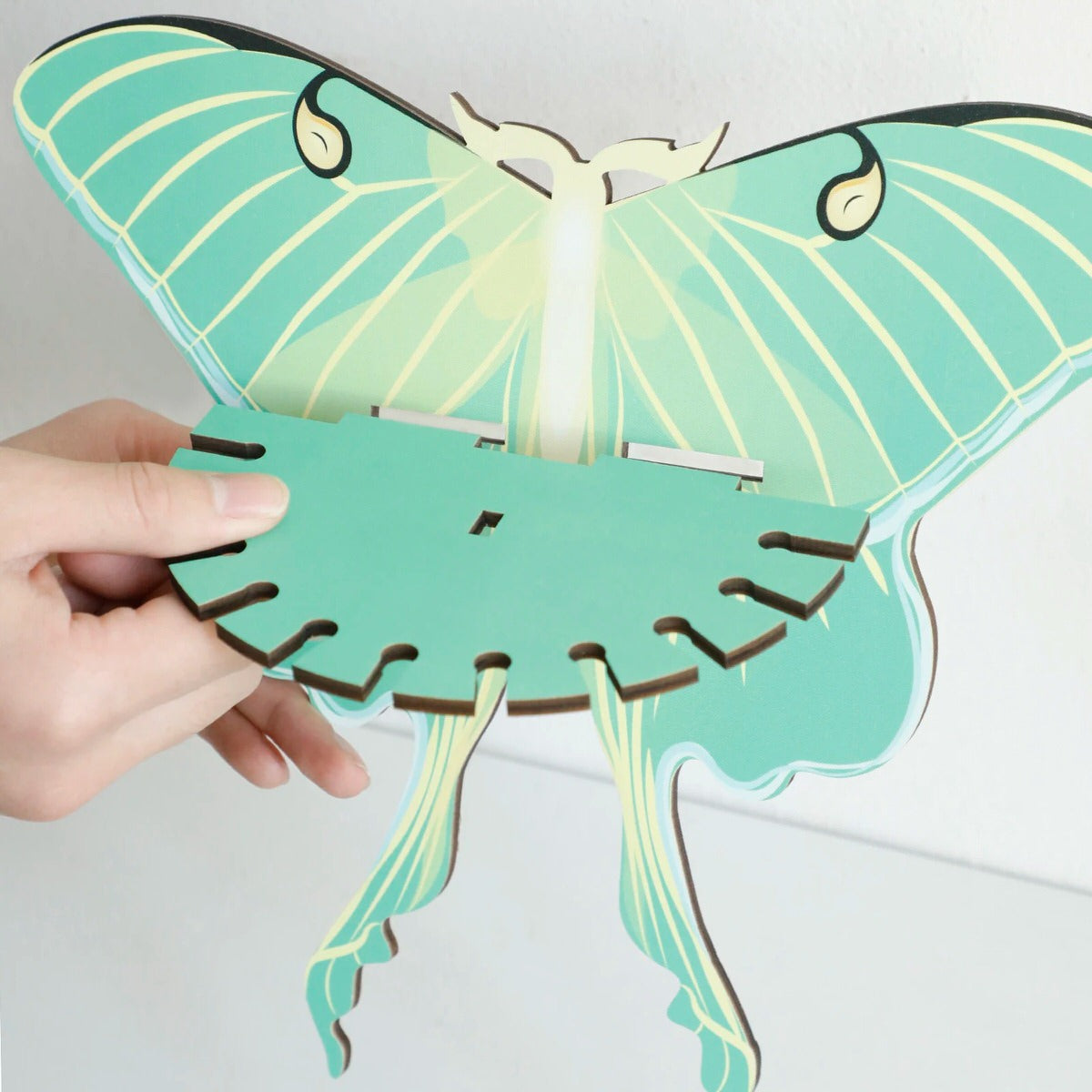 wall hanging butterfly moth shaped shelf display rack for crystals and necklaces