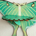wall hanging butterfly moth shaped shelf display rack for crystals and necklaces