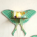 wall hanging butterfly moth shaped shelf display rack for crystals and necklaces