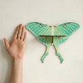 wall hanging butterfly moth shaped shelf display rack for crystals and necklaces