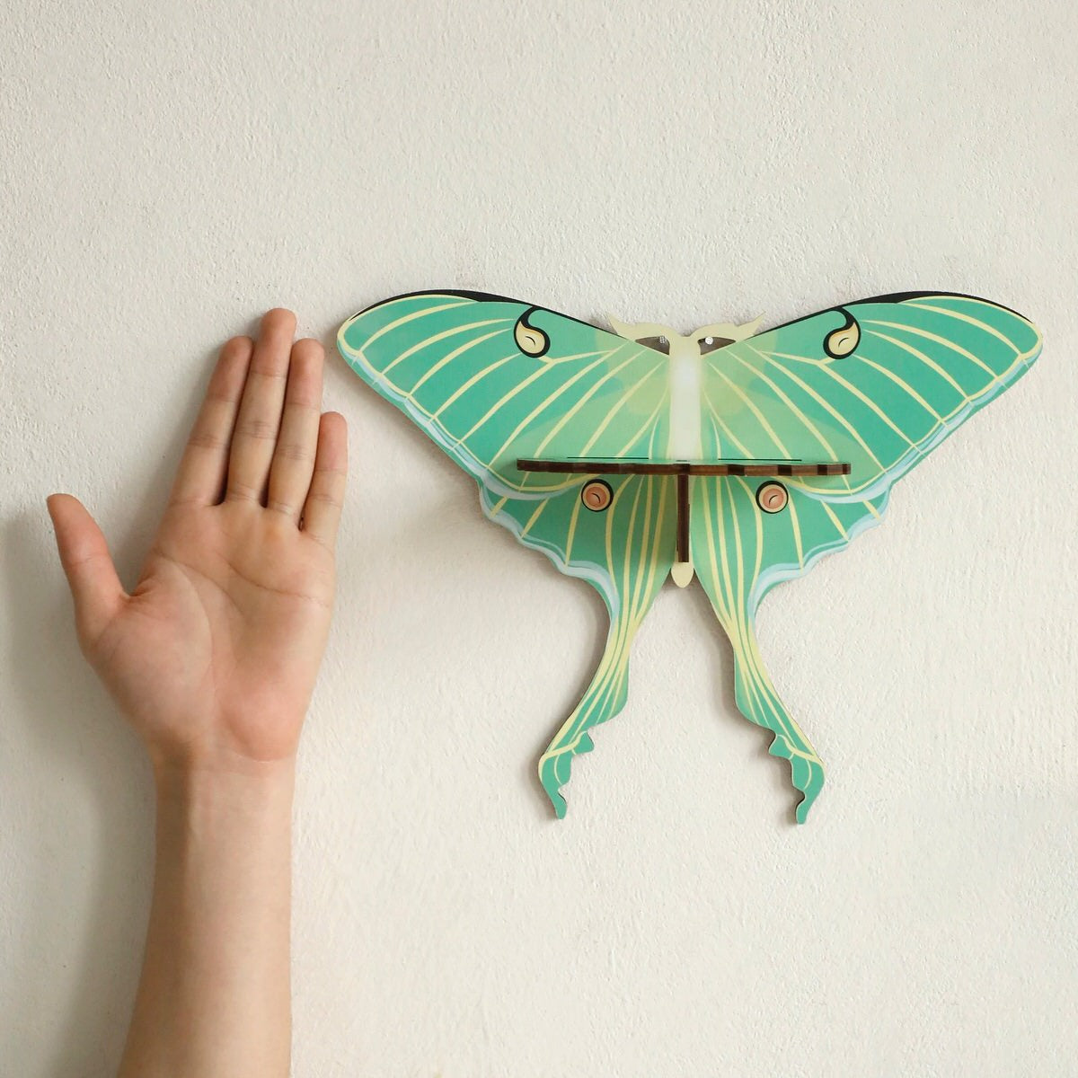 wall hanging butterfly moth shaped shelf display rack for crystals and necklaces