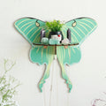 wall hanging butterfly moth shaped shelf display rack for crystals and necklaces