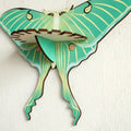 wall hanging butterfly moth shaped shelf display rack for crystals and necklaces