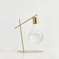 minimalist aesthetic light bulb shaped glass vase planter
