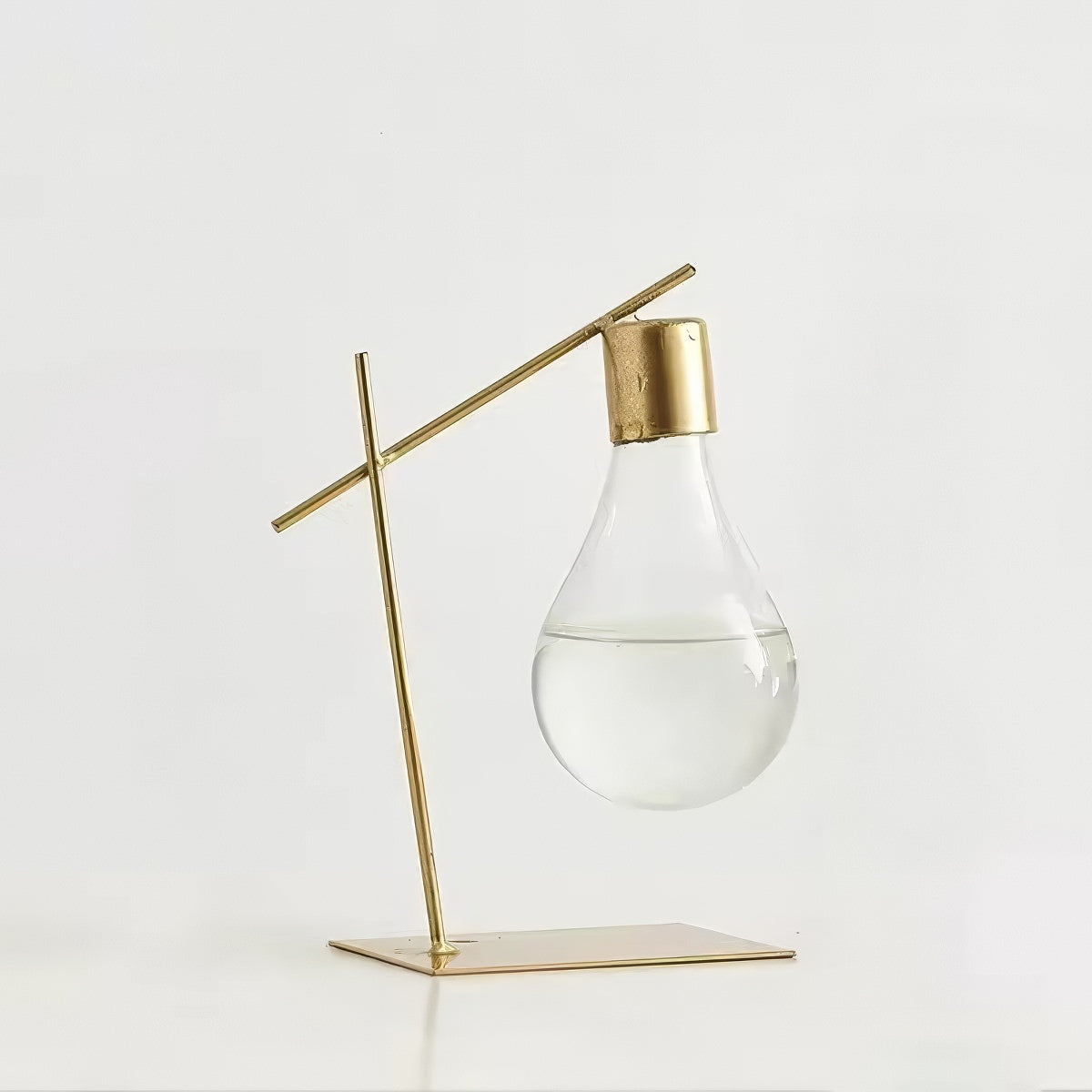 minimalist aesthetic light bulb shaped glass vase planter
