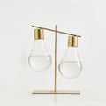 minimalist aesthetic light bulb shaped glass vase planter
