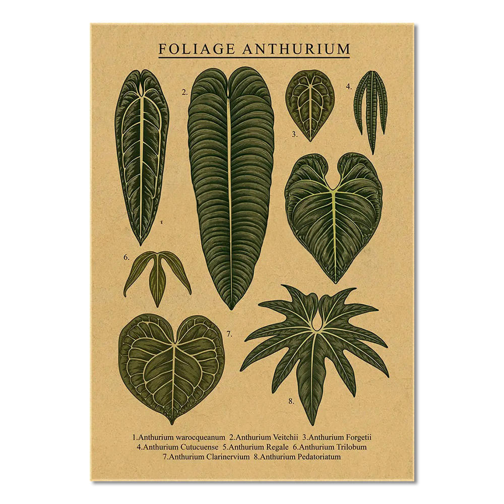 monstera leaves cottagecore aesthetic vintage kraft paper poster print roomtery
