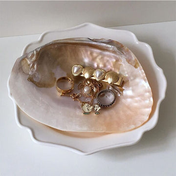 Natural Seashell Jewelry Tray