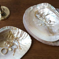 natural seashell coquette and vanilla girl aesthetic jewelry tray desk organizer