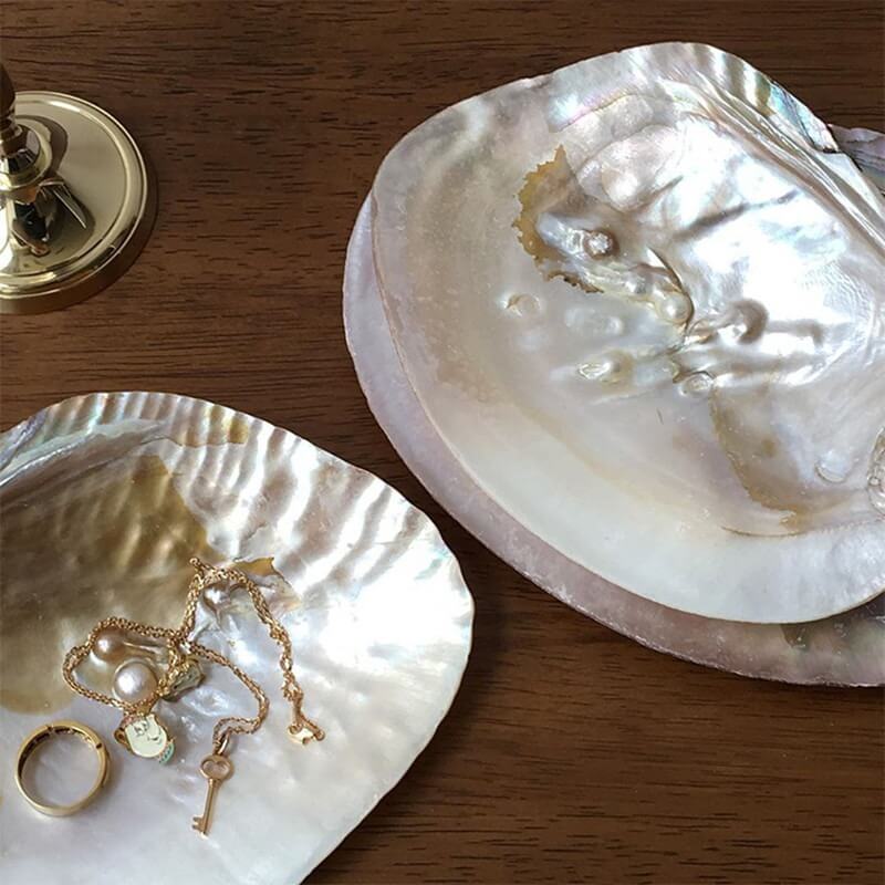 natural seashell coquette and vanilla girl aesthetic jewelry tray desk organizer
