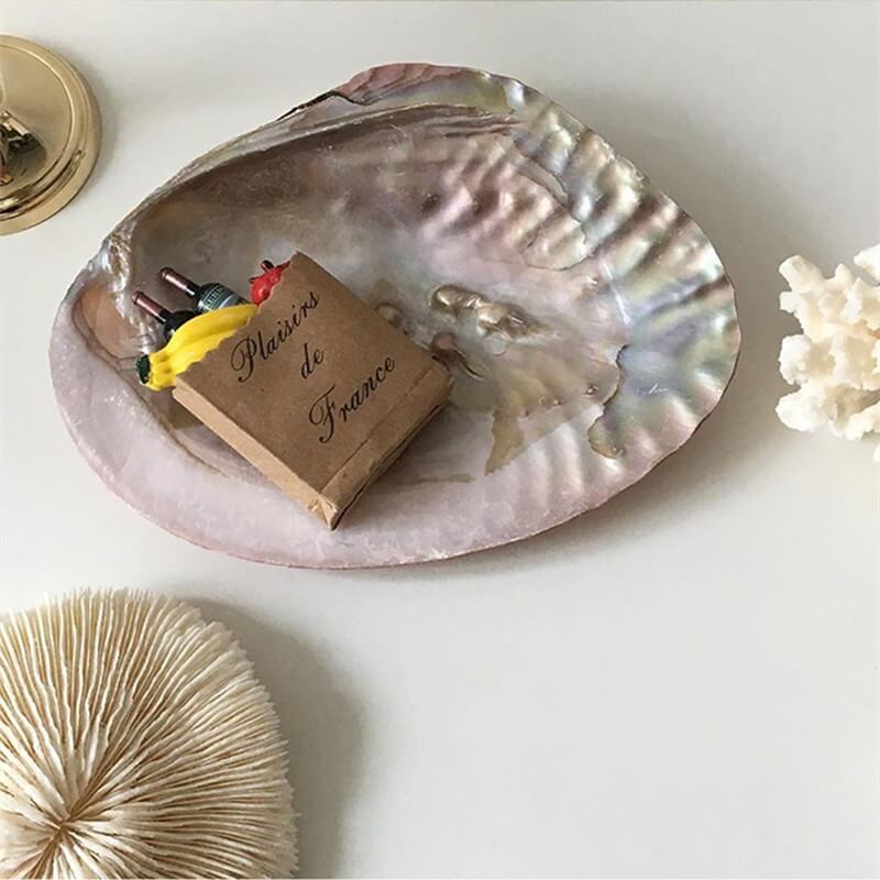 natural seashell coquette and vanilla girl aesthetic jewelry tray desk organizer