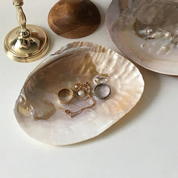 natural seashell coquette and vanilla girl aesthetic jewelry tray desk organizer