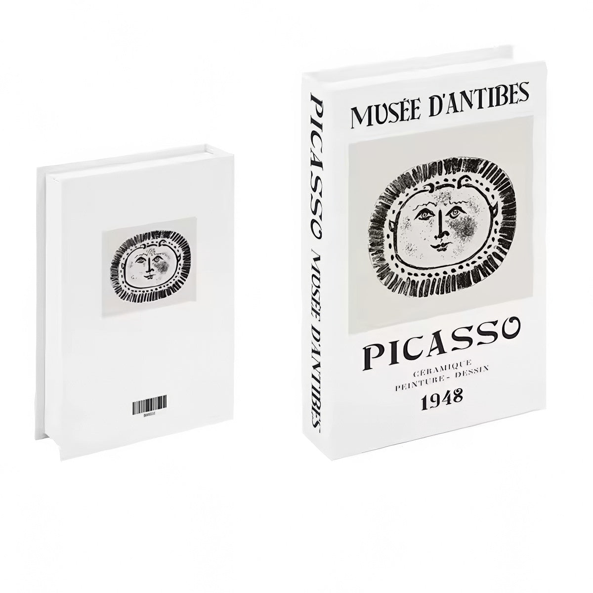 picasso minimalist print fake book storage box