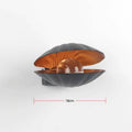 seashell shaped wall lamp night light