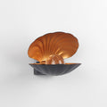 seashell shaped wall lamp night light