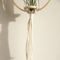 bohemian aesthetic macrame wooden plant hanger roomtery