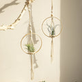 bohemian aesthetic macrame wooden plant hanger roomtery