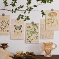 vintage cottagecore aesthetic botanical postcard set wall decor roomtery