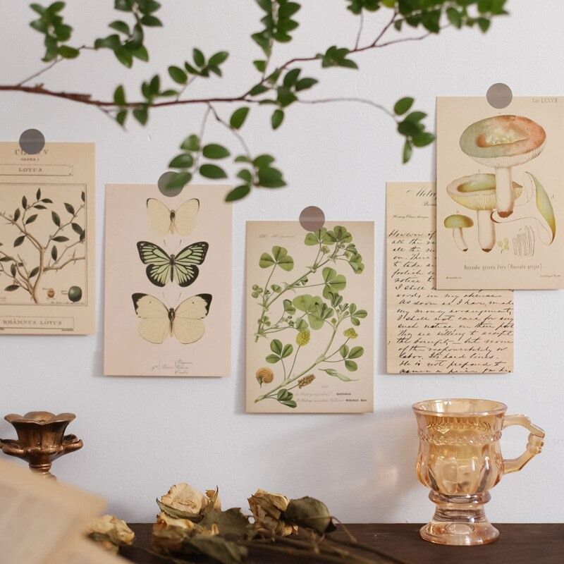 vintage cottagecore aesthetic botanical postcard set wall decor roomtery