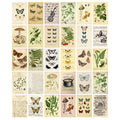 vintage cottagecore aesthetic botanical postcard set wall decor roomtery