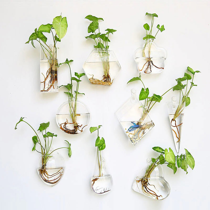 wall hanging plant terrarium glass planter Glass Wall Hanging Flower Vase, 2