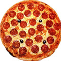 fluffy furry plush pizza margarita blanket fun meme aesthetic throw blanket roomtery