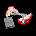 indie cottagecore aestheic room decor red mushroom dotted string lights roomtery