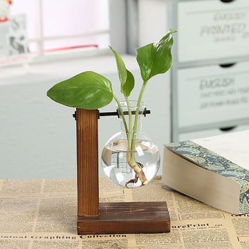 Terrarium Flask Planter Vase