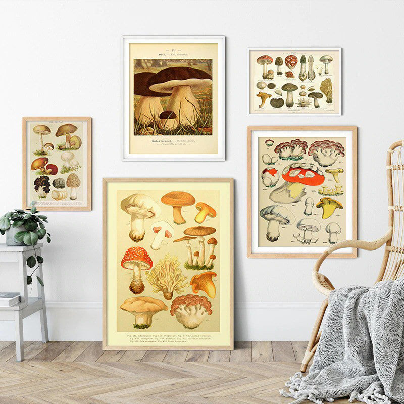 vintage cottagecore aesthetic botanical mushrooms print canvas posters roomtery