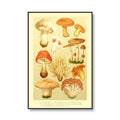 vintage cottagecore aesthetic botanical mushrooms print canvas posters roomtery