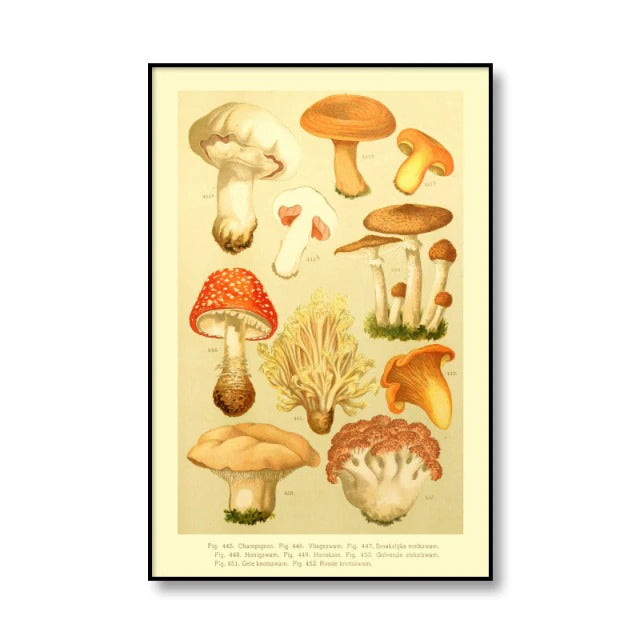 vintage cottagecore aesthetic botanical mushrooms print canvas posters roomtery