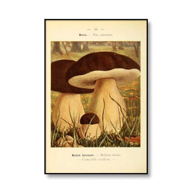 vintage cottagecore aesthetic botanical mushrooms print canvas posters roomtery