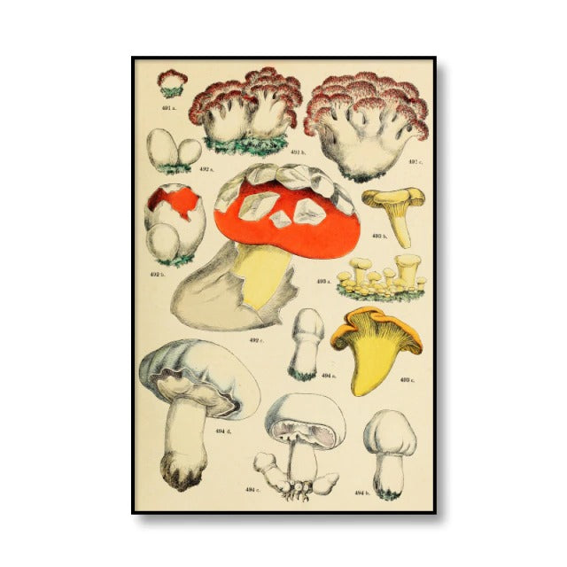 vintage cottagecore aesthetic botanical mushrooms print canvas posters roomtery