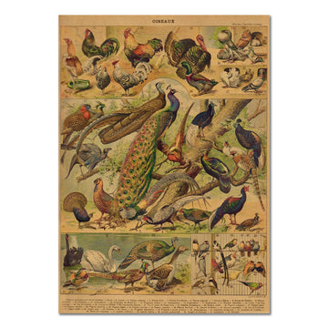Birds Vintage Kraft Paper Poster