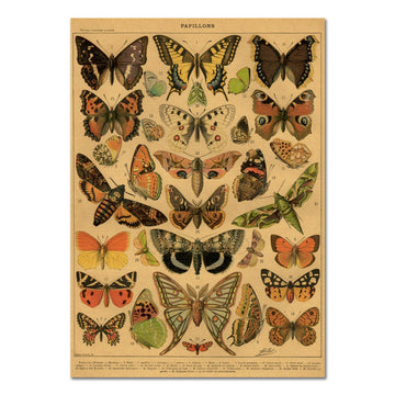 Papillons Kraft Paper Poster