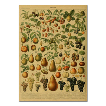 Fruits Vintage Kraft Paper Poster