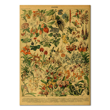 Flowers Vintage Kraft Paper Poster