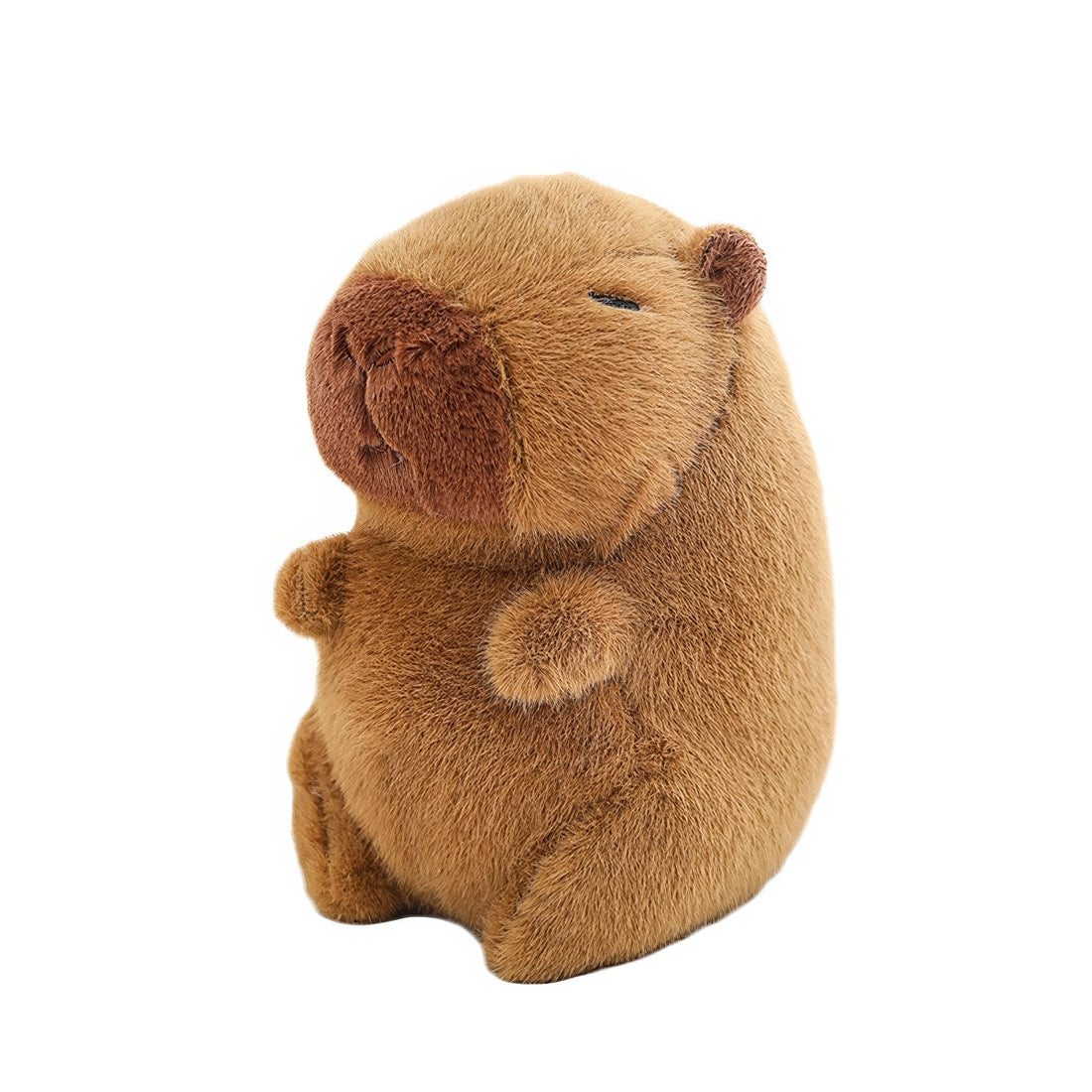 cute sleepy capybara plush toy 