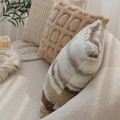 earthy tones boho minimalist aesthetic plush cushion cover